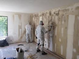 Best Mold Damage Restoration  in Ainsworth, NE